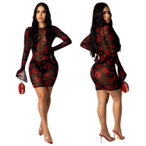 Red Lip Print Perspective Mesh Dress Nightclub Dress