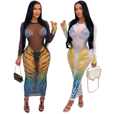 Fashionable round neck perspective printed mesh dress for women without underwear