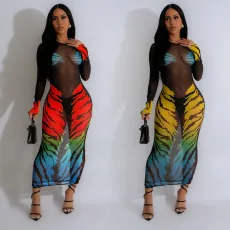 Fashionable women's clothing, exquisite printed mesh long dress