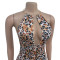 Fashionable women's clothing, wild leopard print color dress, long skirt