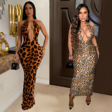 Fashionable women's clothing, wild leopard print color dress, long skirt