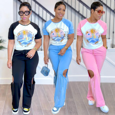 Fashion women's printed multi-color short sleeved pants set