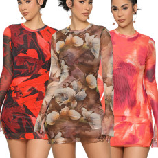 Sexy and fashionable nightclub high stretch mesh round neck printed dress
