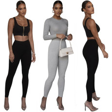 Fashionable and sexy slim fit ribbed casual pants