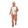Adult giraffe
