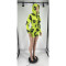Long sleeved hooded shorts trendy printed fashion sports suit