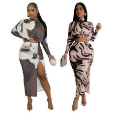 Women's clothing source fashion print sexy print long sleeved skirt two-piece set