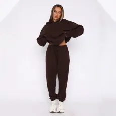 Autumn and Winter Women's Plush Sports Loose Hoodie Top Drawstring Pants Casual Set