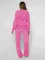 Autumn and winter women's fashionable loose velvet hooded long sleeved zipper straight leg pants set