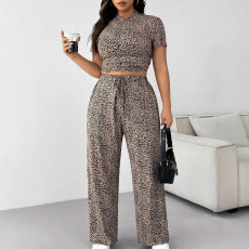 Large casual tight fitting top loose straight leg pants set