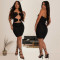 Fashionable women's sexy temperament pleated skirt tight fitting dress new