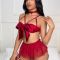 Mesh sexy lingerie for women in Europe and America, seductive lace uniform set