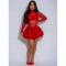 New fashion style elegant slim fit bubble skirt long sleeved mesh dress