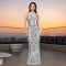Fashionable women's clothing with elegant style, hanging neck fish tail dress, formal dress