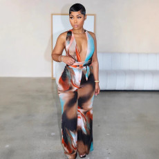 New oil painting style women's sexy backless hanging neck deep V jumpsuit