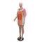 Alphabet team uniform with rhinestone round neck patchwork color half sleeve V-neck loose top dress