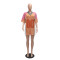 Alphabet team uniform with rhinestone round neck patchwork color half sleeve V-neck loose top dress