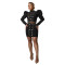 Fashion women's casual long sleeved chicken eye top short skirt two-piece set