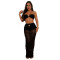 Fashion women's sexy strapless transparent mesh long skirt two-piece set