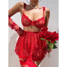 Sexy lingerie set, lace bra, pure desire style, red lingerie set