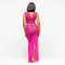Fashionable women's sexy perspective mesh rhinestone long skirt two-piece set