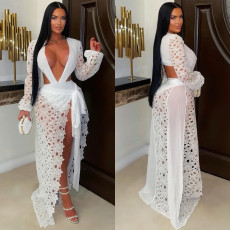 Fashionable women's sexy mesh lace deep V-slit dress