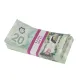 Fake Old Money 20 Canadian Dollars Full Print Realistic For Tiktok Video Film