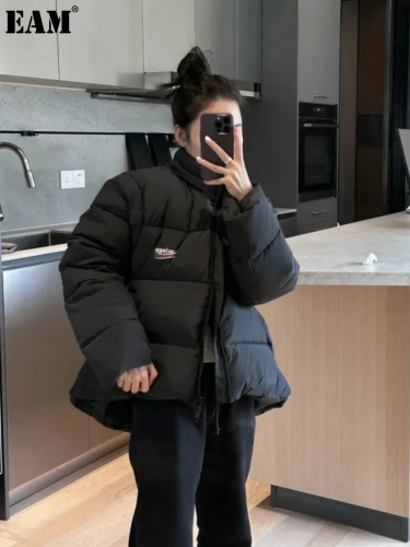 {EAM} High version Paris b wave Cola down jacket loose OS version type men and women with the same down jacket DLZ83