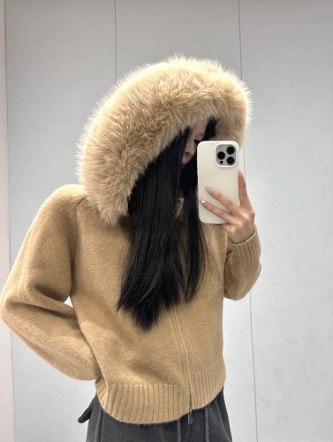 {EAM} Korean Style Trend Sweater Zipper Casual Female Autumn Winter Woman S-XL Loose Solid Cashmere Thicken Velvet Hooded Cardigan DLZ482