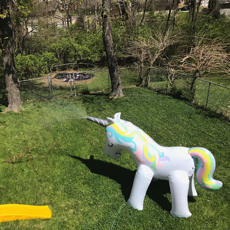 outdoor unicorn toys