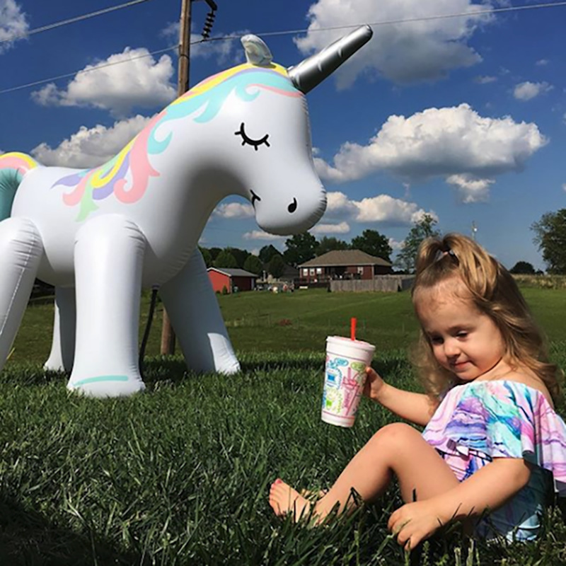 outdoor unicorn toys