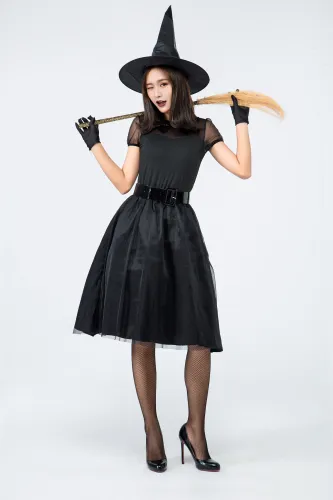plus size sexy witch costume PS1727