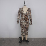 sexy leopard v-neck dress 9416