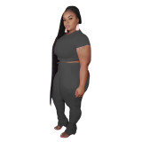 plus size short two piece stacked pants set 20735