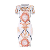 women hot sell Multicolor printed dresses 2619