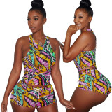 Summer two pieces set 4260