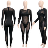 mesh see through  jumpsuit S390244