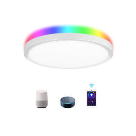 WIFI & Remote Control 12'' 24W Smart Flush Mount LED Ceiling Light Work with Amzon Alexa and Google Assistant - ETL listed