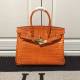 Hermmes 30CM Crocodile Birkin FL6122971