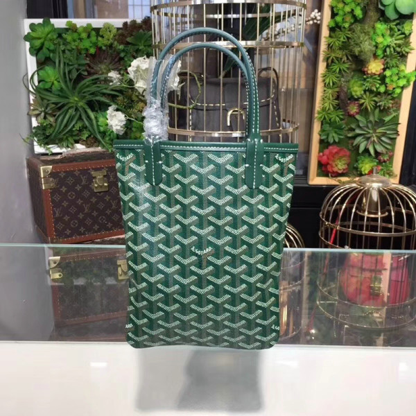 Goyard the special saint louis top handle bag GG8071274