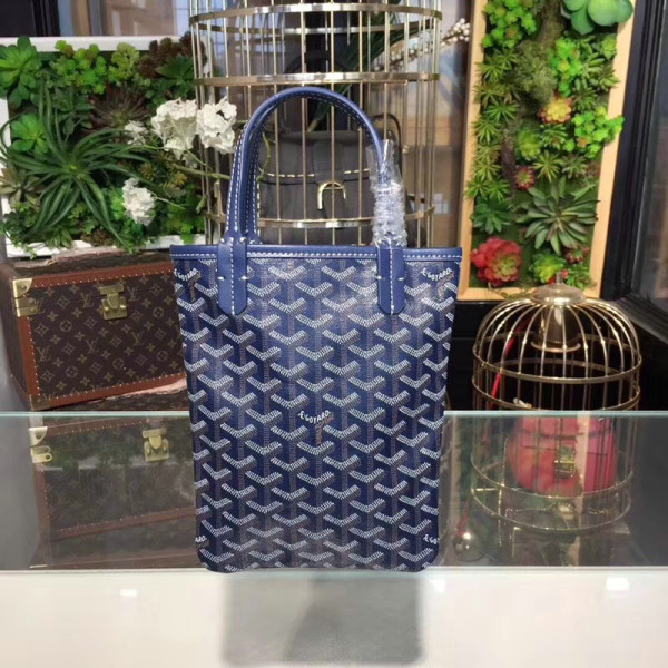 Goyard the special saint louis top handle bag GG8071271