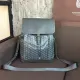 Goyard 4 colors the special saint shoulder bag PS9043008