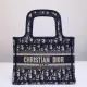 Dior mini book tote in embroidered canvas DMZ9102705