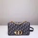 Dior Original Montaigne Canvas shoulder bag DMZ9121702