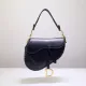Dior Original Saddle Bag DMZ9121721