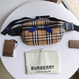 Burberry original Belt shoulder bag FH35 061313