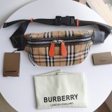 Burberry original Belt shoulder bag FH35 061313