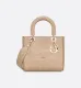 Dior 4 colors Original Lady D-lite with embroidery DMZ88-061605