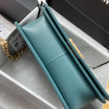 Chanel 10 colors original grained calfskin Golden Leboy DJ20110702