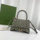 Gucci oringinal women shoulde bag EY2160609